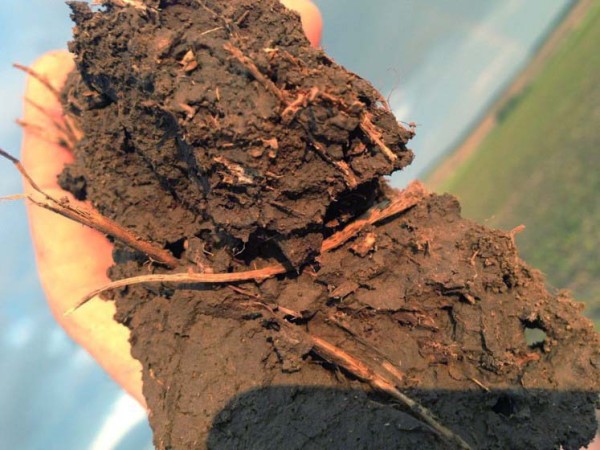 Obr. 1: Gravitačn&iacute; p&oacute;rovitost