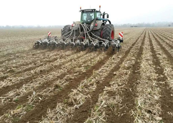 Podzimn&iacute; př&iacute;prava p&aacute;sů po kukuřici