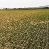 Galleko® špeciál - overený pomocník Galleko® špeciál - overený pomocník