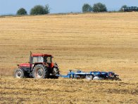 Obr. 1: V&nbsp;mnoh&yacute;ch př&iacute;padech nen&iacute; strnisko kypřičem zcela podtrženo a&nbsp;je jen zč&aacute;sti zasyp&aacute;no zeminou z&nbsp;povrchu půdy; v&nbsp;such&eacute;m obdob&iacute; nen&iacute; vytvořeno optim&aacute;ln&iacute; lůžko pro vzejit&iacute; vydrolen&eacute;ho zrna 