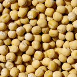 Jak &uacute;spě&scaron;ně pěstovat hr&aacute;ch