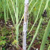 Udržme hl&iacute;zenku na uzdě