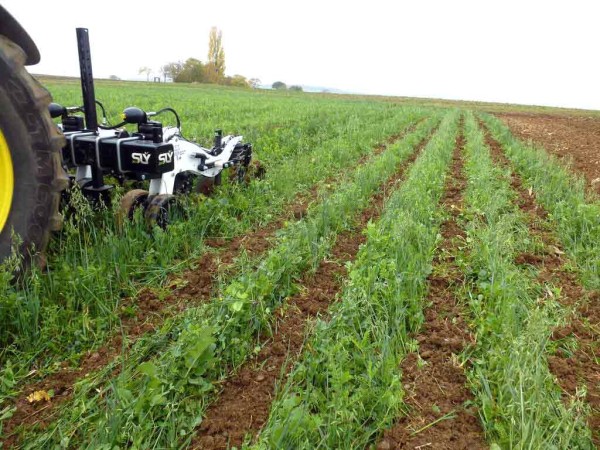 Př&iacute;prava p&aacute;sů v&nbsp;luskovino-obiln&iacute; směsce