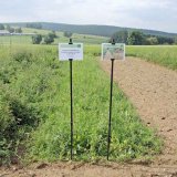 Př&iacute;nos neprodukčn&iacute;ch ploch