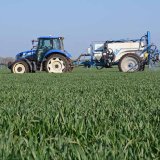 Jak odplevelit obilniny přípravky bez omezení? Jak odplevelit obilniny přípravky bez omezení?