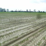 Potreba starostlivosti o&nbsp;komunik&aacute;ciu a&nbsp;kvalitu vzťahov v&nbsp;produkčnom procese poľn&yacute;ch plod&iacute;n