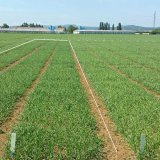 Pr&iacute;pravky Galleko, alebo keď n&aacute;m počasie nepraje