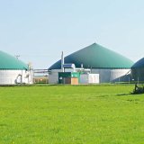 N-Lock - efektivn&iacute; hnojen&iacute; nejenom kukuřice