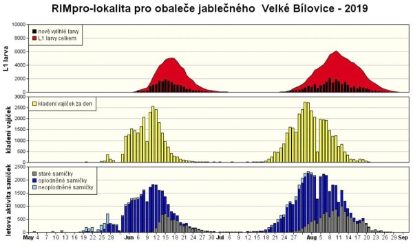 Graf 1: výstup programu RIMpro pro obaleče jablečného v roce 2019 (Velké Bílovice) Graf 1: výstup programu RIMpro pro obaleče jablečného v roce 2019 (Velké Bílovice)