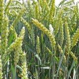 Kompletn&iacute; a&nbsp;vysok&aacute; &uacute;činnost