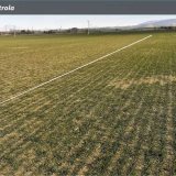 Galleko špeciál - prvý krok na ceste k dobrej úrode Galleko špeciál - prvý krok na ceste k dobrej úrode