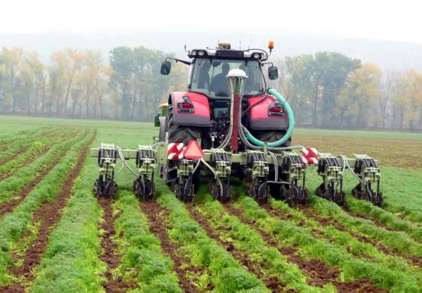 Př&iacute;prava p&aacute;sů ve svazence