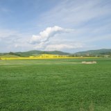 Carboneg - přin&aacute;&scaron;&iacute; ročně až 15000 Kč/ha pro &scaron;etrně hospodař&iacute;c&iacute; zemědělce