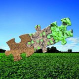 Eliminace jednoděložn&yacute;ch i&nbsp;dvouděložn&yacute;ch plevelů v&nbsp;řepce