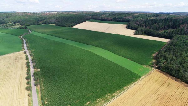 Obr. 11: Stabilizace &uacute;dolnic - vyset&aacute; vojtě&scaron;ka