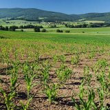 Rychlej&scaron;&iacute; než blesk