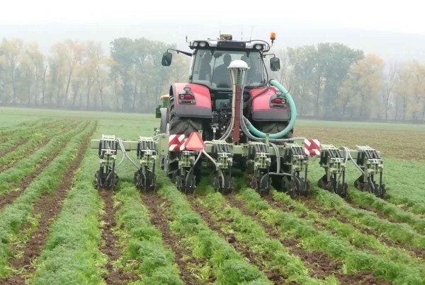 Př&iacute;prava p&aacute;sů ve svazence