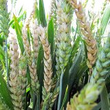 Jeden bal&iacute;ček, mnoho použit&iacute;