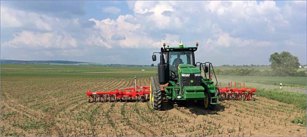 Plečkování kukuřice Plečkování kukuřice