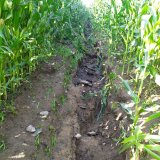 Možnosti řešení eroze v souvislosti se změnami legislativy i klimatu Možnosti řešení eroze v souvislosti se změnami legislativy i klimatu