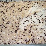 Pouze technologie na skladi&scaron;tn&iacute; &scaron;kůdce nestač&iacute;