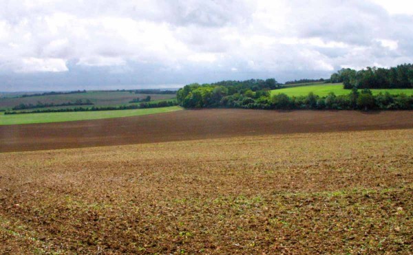 Z&aacute;kladem je kvalitn&iacute; zpracov&aacute;n&iacute; půdy