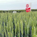 LG Keramik - v&yacute;nos a&nbsp;kvalita kdekoli