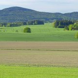 Použit&iacute; biologick&yacute;ch př&iacute;pravků v&nbsp;na&scaron;i pěstitelsk&eacute; praxi