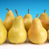 Uplatňov&aacute;n&iacute; syst&eacute;mu integrovan&eacute; ochrany rostlin v&nbsp;souvislosti se změnou legislativy (48): Regulace rezidu&iacute; pesticidů v&nbsp;zelenině a&nbsp;ovoci II. - monitoring v&yacute;skytu rezidu&iacute;