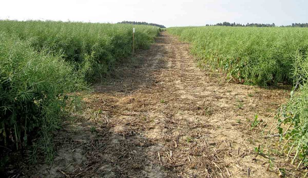 Půda spolu s&nbsp;počas&iacute;m patř&iacute; mezi hlavn&iacute; zdroje variability