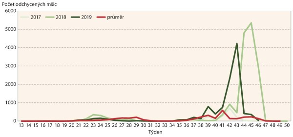 Graf 2: M&scaron;ice broskvoňov&aacute; - průběh migrace za celou ČR