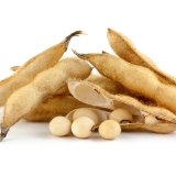 Nab&iacute;dka odrůd luskovin pro rok 2018