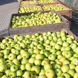 Jak&yacute; byl rok 2018