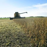 Počas&iacute; a&nbsp;v&yacute;sledky odrůdov&yacute;ch pokusů se s&oacute;jou v&nbsp;ročn&iacute;ku 2018/19