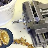 Tmavka &scaron;vestkov&aacute; - tvrd&aacute; realita