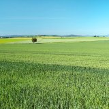 Ataman a&nbsp;Biathlon 4D - zjednodu&scaron;te si pr&aacute;ci