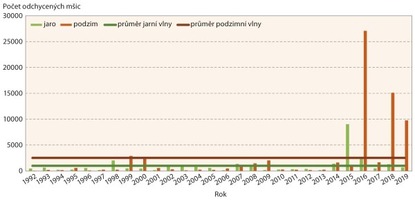 Graf 1: M&scaron;ice broskvoňov&aacute; - aktivita během jarn&iacute; a&nbsp;podzimn&iacute; letov&eacute; vlny