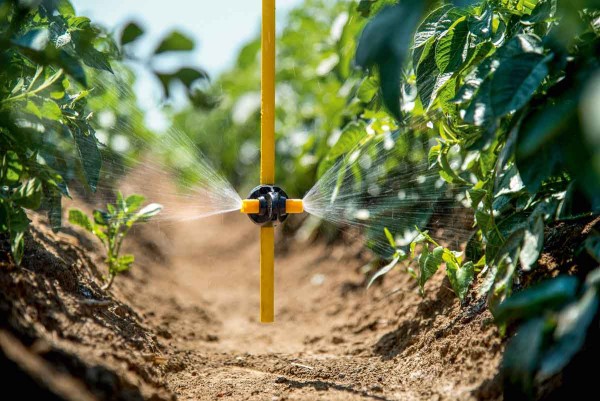 Aplikačn&iacute; trubice Dropleg&reg; Beluga