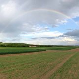 Změny druhového spektra plevelů v jarním ječmeni Změny druhového spektra plevelů v jarním ječmeni