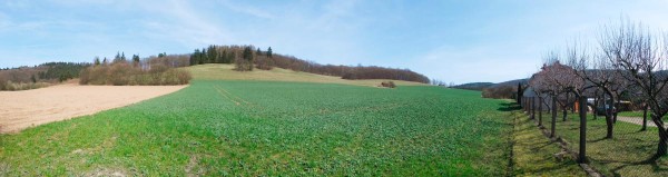 Obr. 1: Hodnocen&yacute; porost řepky