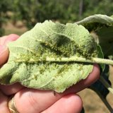 N&aacute;lety m&scaron;ic do sac&iacute;ch past&iacute; Johnson-Taylor v&nbsp;roce 2017