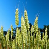 Redigo Pro - jednoduch&eacute; rozhodnut&iacute; a&nbsp;l&eacute;to v&nbsp;pohodě