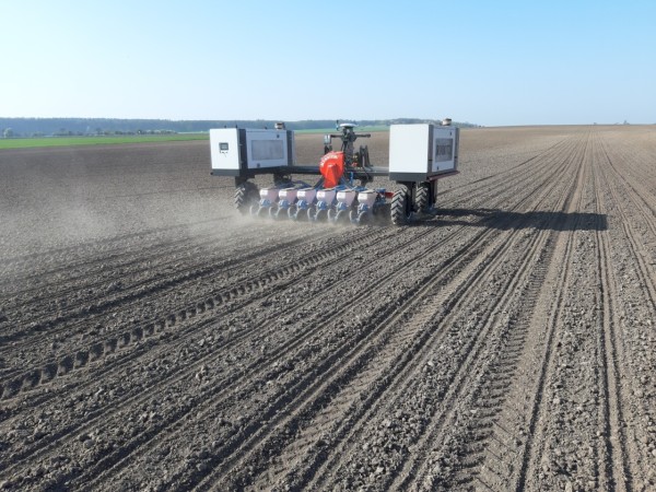 Set&iacute; kukuřice 17. 4. 2020