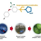 Relenya&reg; + Kinto&reg; Plus - ře&scaron;en&iacute; v&scaron;ech chorob osiva včetně sněti zakrsl&eacute;