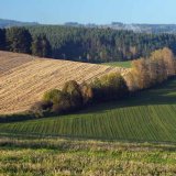 Vliv statkov&yacute;ch hnojiv na bilanci fosforu v&nbsp;dlouhodob&yacute;ch pokusech