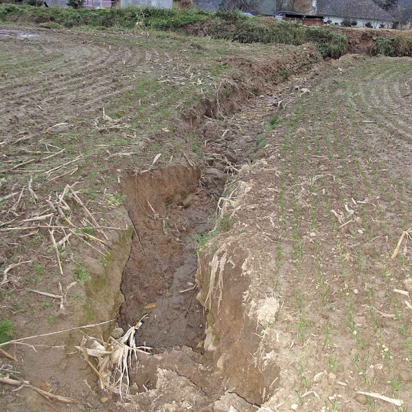 Obr. 7: Fotodokumentace erozn&iacute; ud&aacute;losti - velk&aacute; v&yacute;molov&aacute; erozn&iacute; r&yacute;ha (foto V&Uacute;MOP v.v.i.)