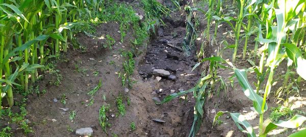 Možnosti ře&scaron;en&iacute; eroze v&nbsp;souvislosti se změnami legislativy i&nbsp;klimatu