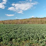 Pohled nejen na jaro 2021 na na&scaron;ich pol&iacute;ch