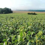 Pokusy se stimulac&iacute; s&oacute;ji v&nbsp;roce 2017