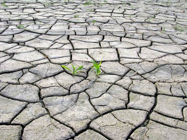 Přes půdn&iacute; &scaron;kralou se &scaron;patně vzch&aacute;z&iacute;